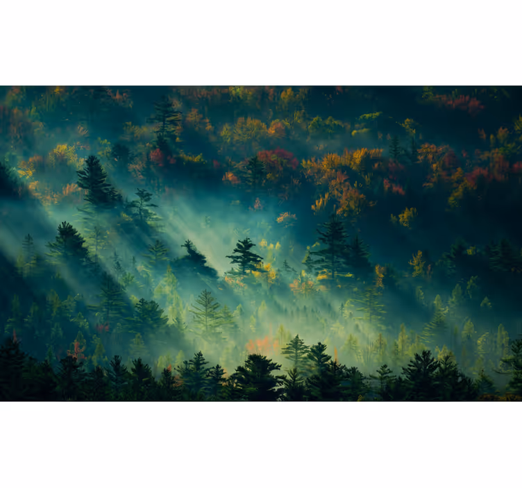 Tapete wald der geheimnisvolle wald - TenStickers