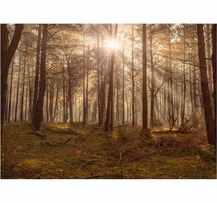 Tapete wald goldene tierwelt lounge - TenStickers