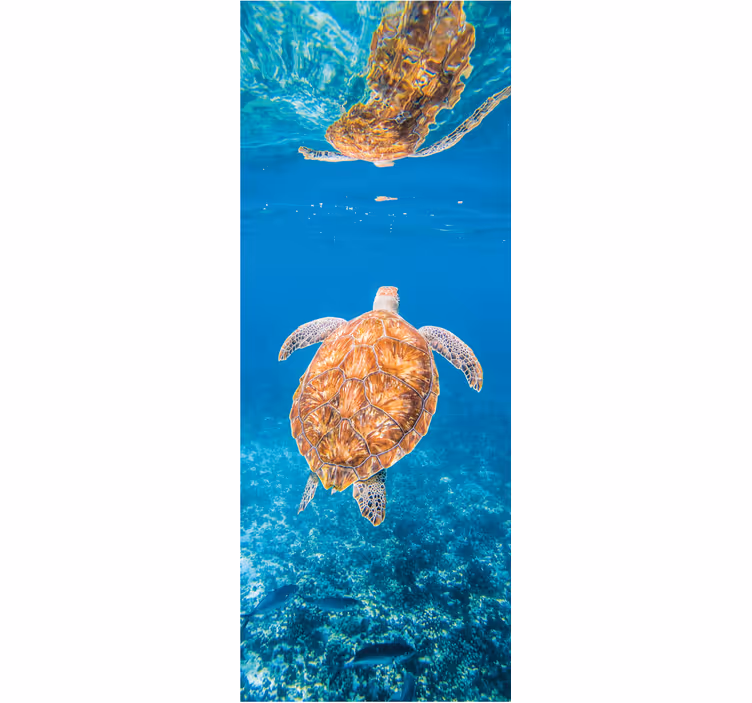 Fototapete badezimmer schöne schildkröte unter wasser - TenStickers