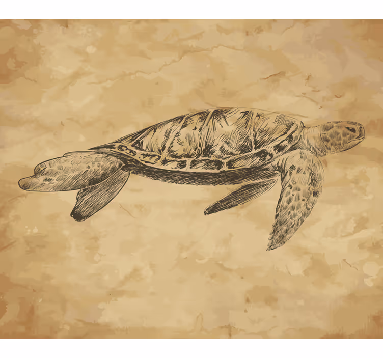 Fototapete beige mit schildkrötenillustration - TenStickers
