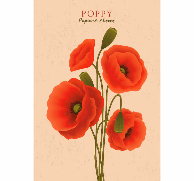 Fototapete beige mohnblumen - TenStickers