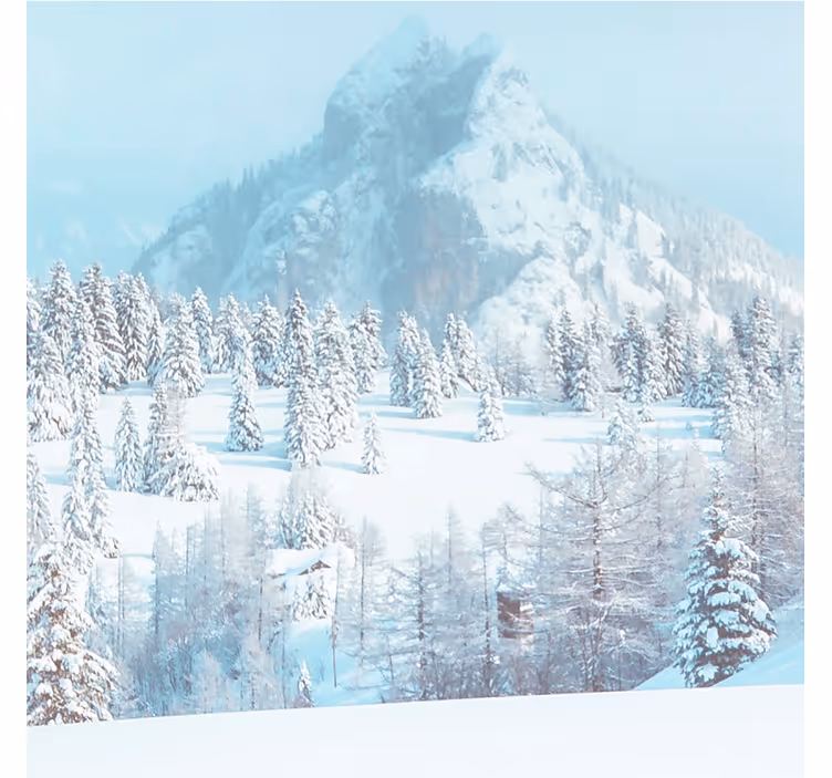 Fototapete blau winter Ästhetik fotografie - TenStickers