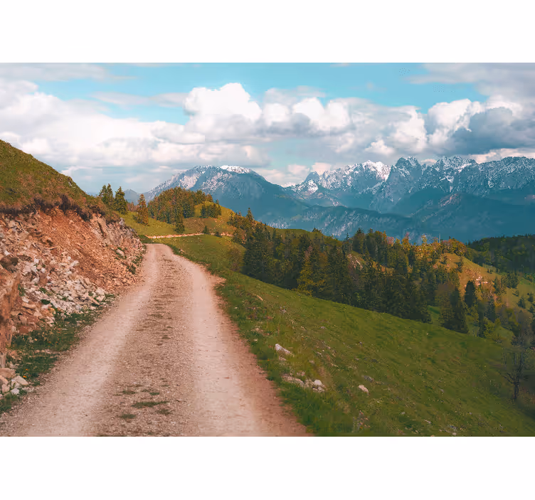 Fototapete grün waldspaziergang - TenStickers