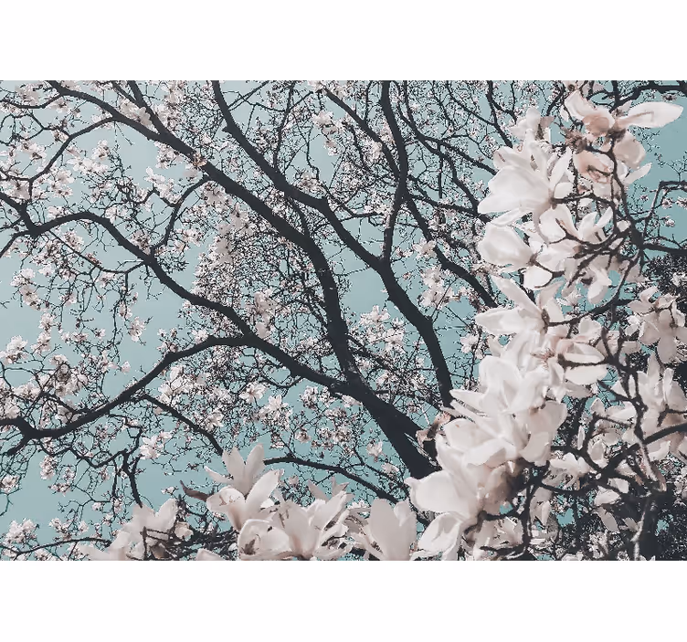 Fototapete eingang eleganter stil japanische kirschblüte - TenStickers