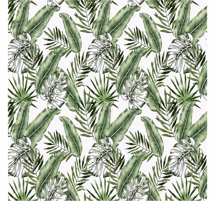 Fototapete wald mit grünen monstera-blättern - TenStickers