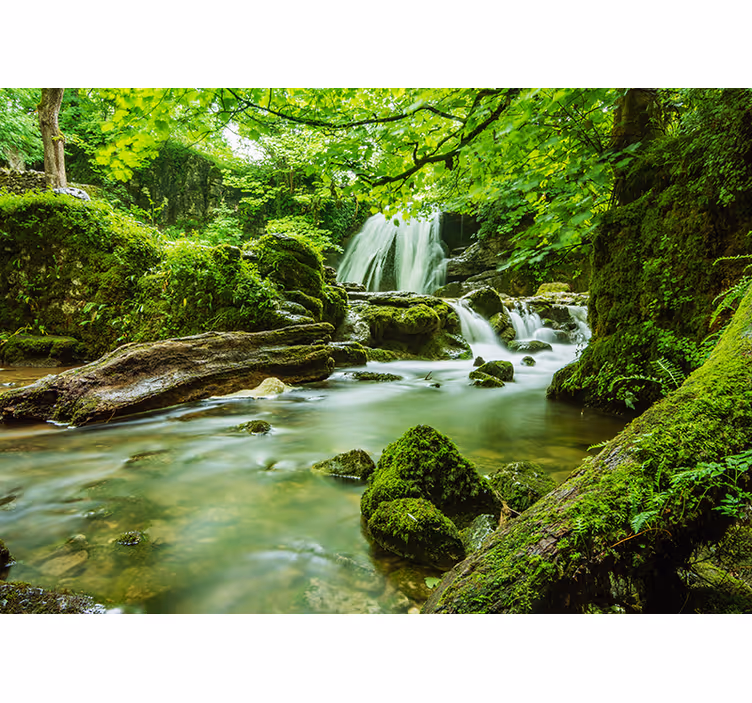 Fototapete Natur Fluss im Dschungel - TenStickers