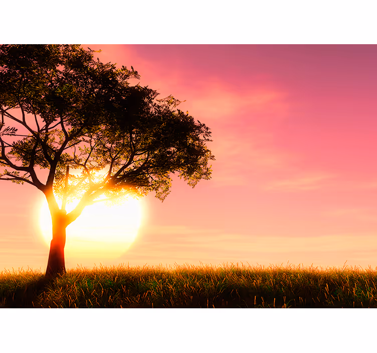 Fototapete Landschaft savanne sonnenuntergang silhouette - TenStickers