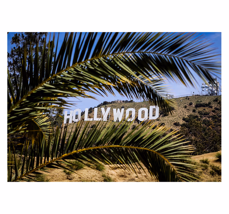 Hollywood Zeichen und Palme Fototapete Städte - TenStickers