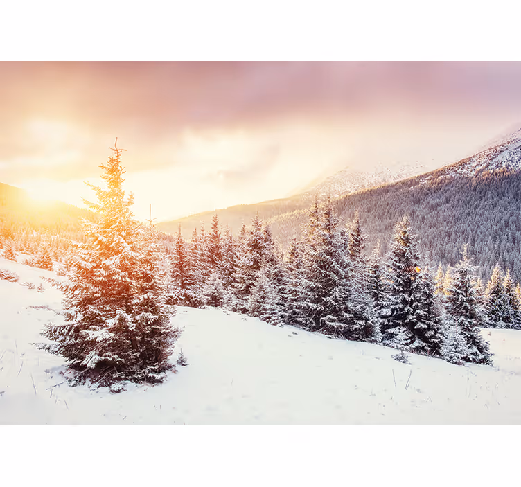 Fototapete Berge schneebedeckte Berglandschaft - TenStickers