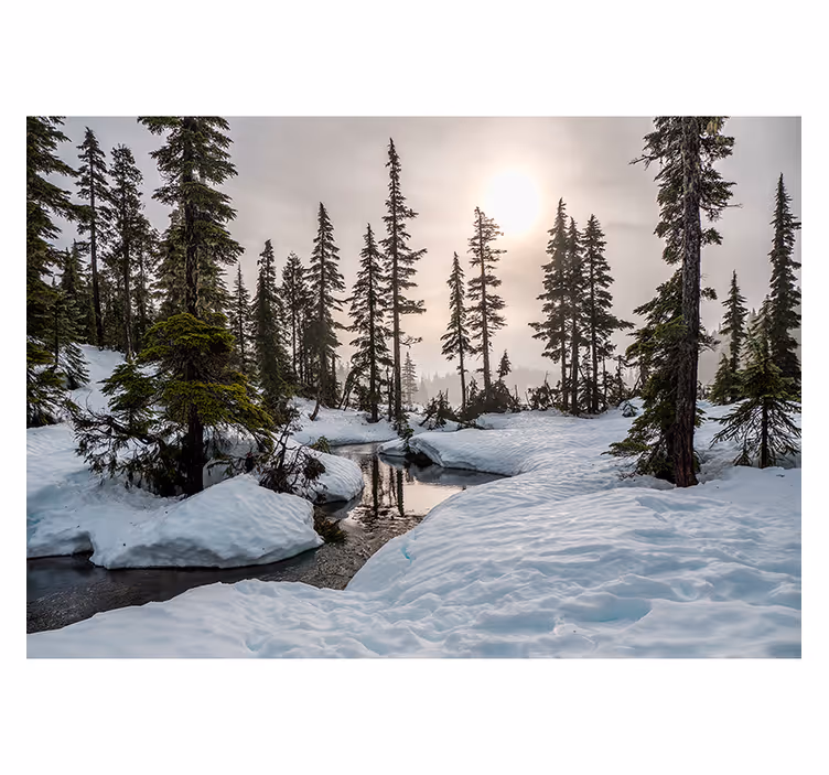 Fototapete Wohnzimmer verschneiter Wald - TenStickers