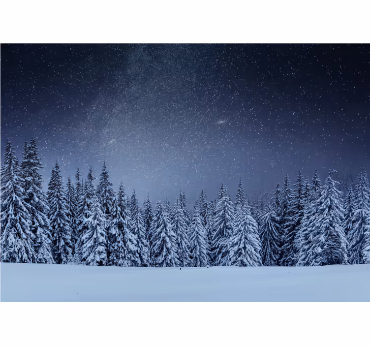 Fototapete Natur verschneite kiefernlandschaft - TenStickers