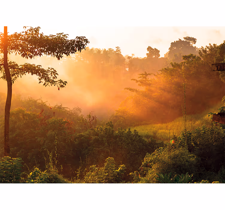 Fototapete natur ruhige waldlandschaft - TenStickers
