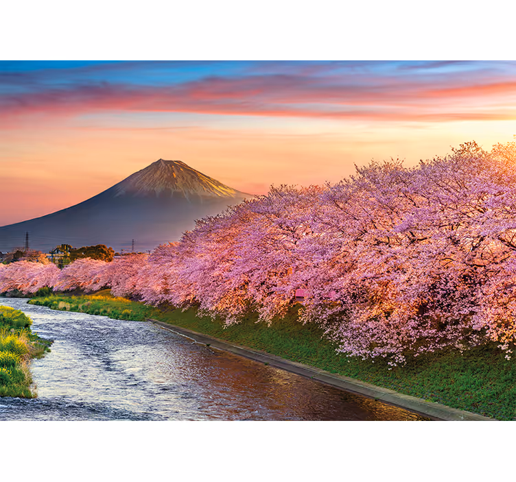 Fototapete Landschaft kirschblüten am fuji - TenStickers