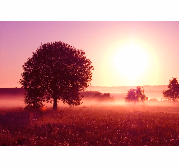 Fototapete natur silhouettenbaum im sonnenuntergang - TenStickers