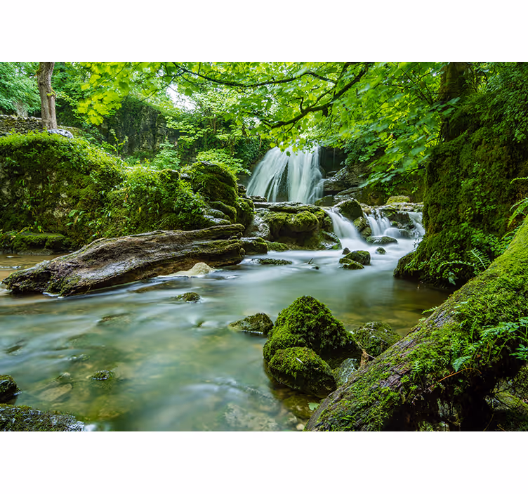 Tapete Wohnzimmer 3D Fluss im Wald Natur - TenStickers