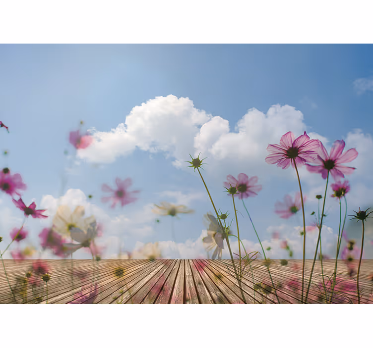 Fototapete Blumen zarte blüten - TenStickers