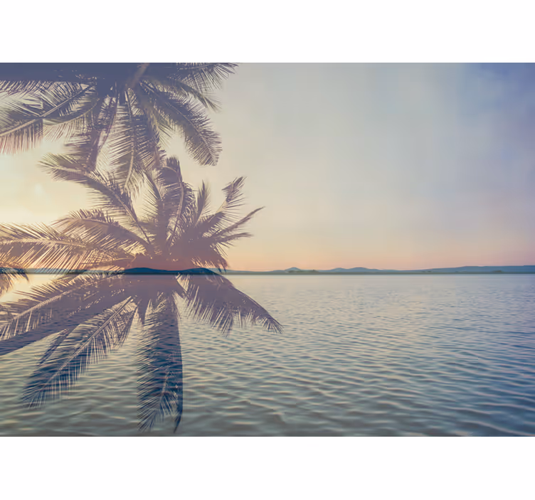 Fototapete natur serene palmensilhouette - TenStickers