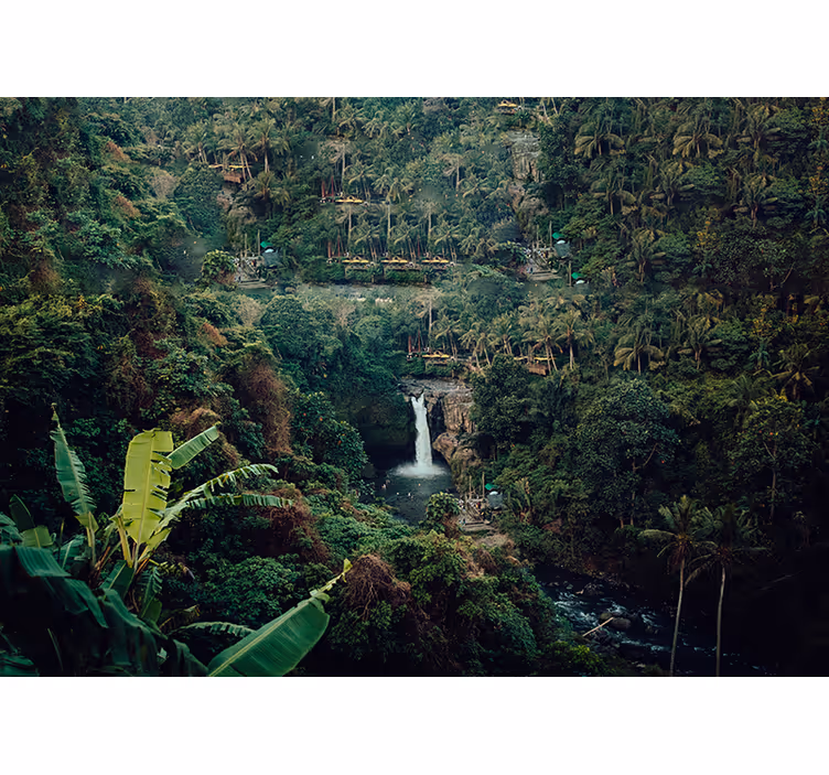 Fototapete natur üppiger dschungel wasserfall - TenStickers