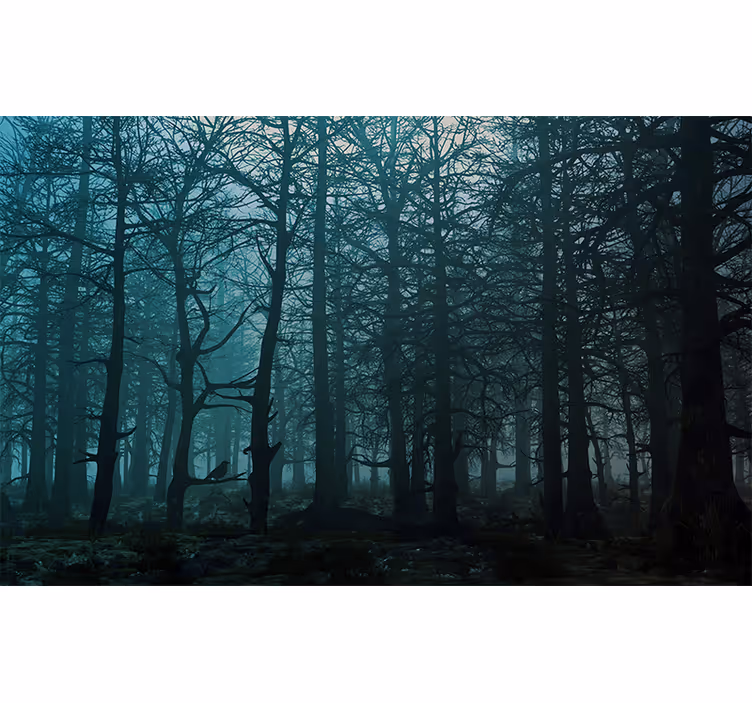 Tapete wald nebelwald landschaft - TenStickers