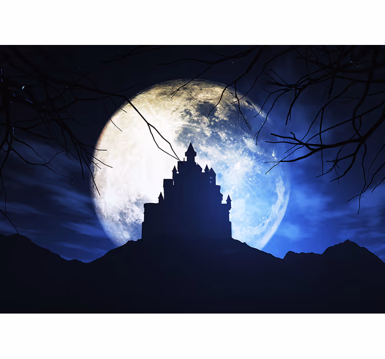 Fototapete Fantasie mondbeschienenes schloss - TenStickers