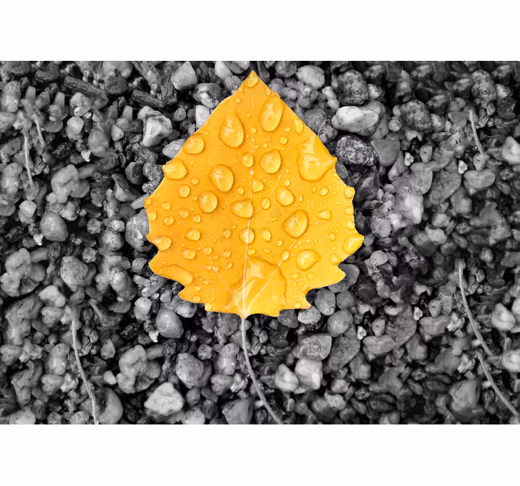 Fototapete Natur gelbes blattdetail - TenStickers