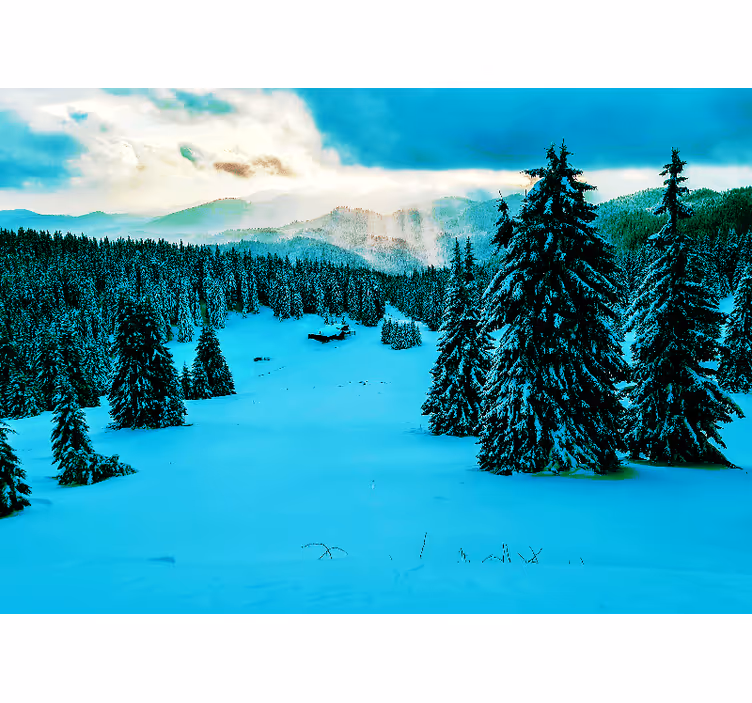 Fototapete Landschaft verschneiter kiefernwald - TenStickers
