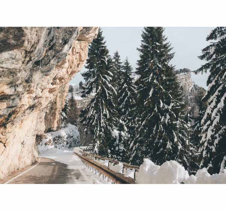 Fototapete Landschaft winterkiefernlandschaft - TenStickers