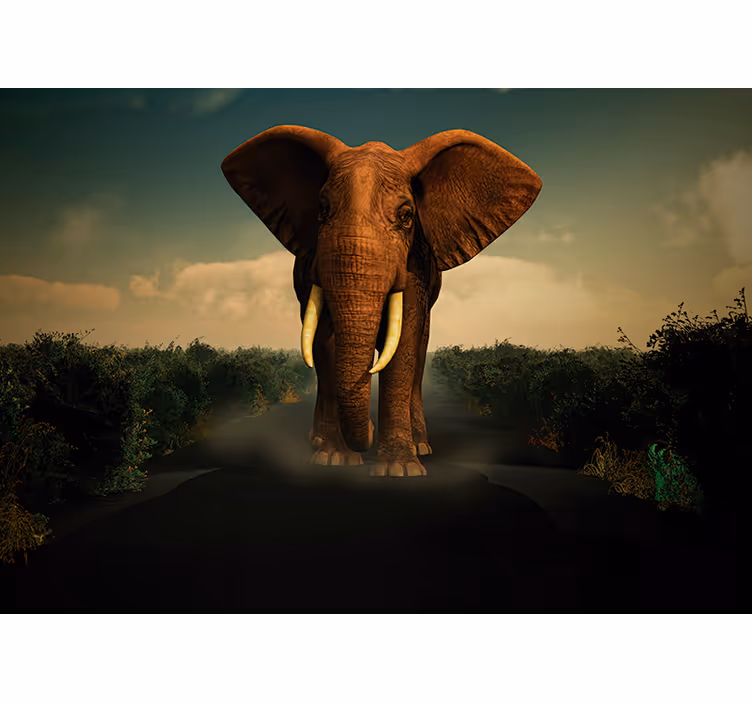 Fototapete tiere majestätischer elefant - TenStickers