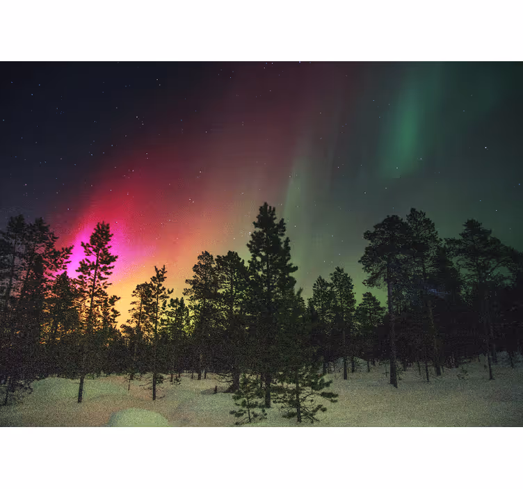 Fototapete Natur aurora borealis-anzeige - TenStickers