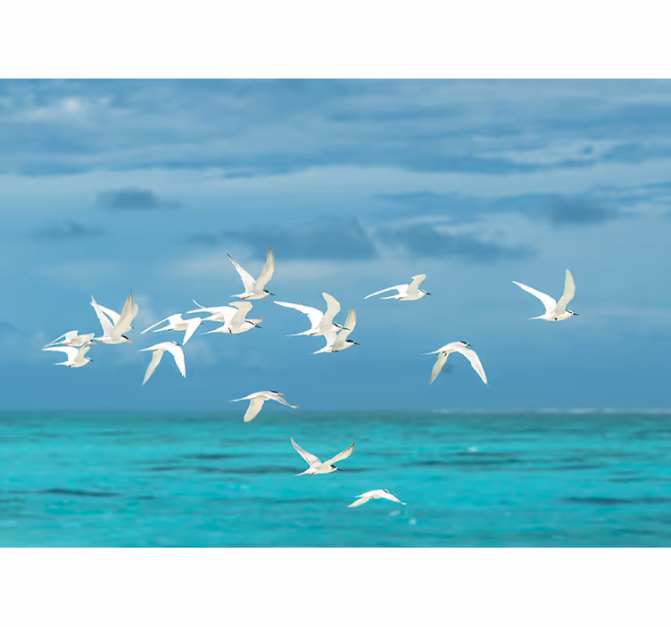 Fototapete natur mit fliegenden vögeln - TenStickers