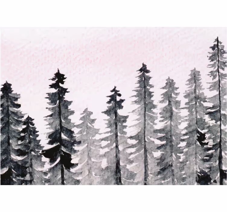 Fototapete Natur hohe kiefern - TenStickers