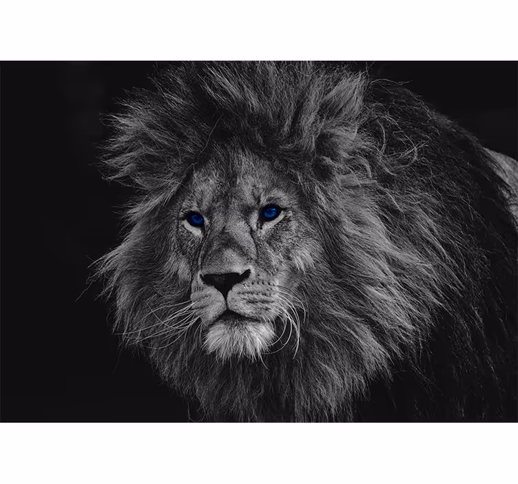 Fototapete Löwe königliche löwenillustration - TenStickers
