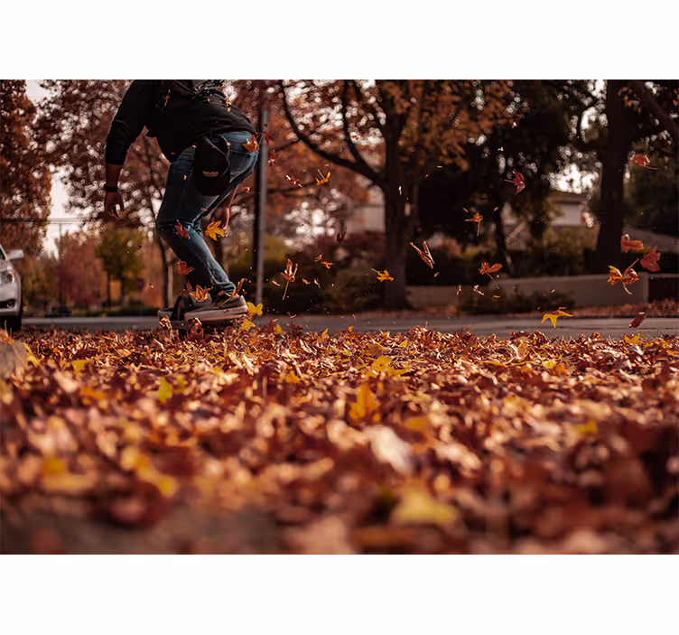 Fototapete Städte herbstlaub stkater - TenStickers