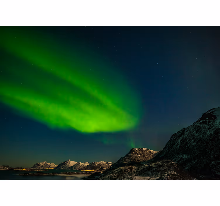 Fototapete wald nordlichter präsentation - TenStickers