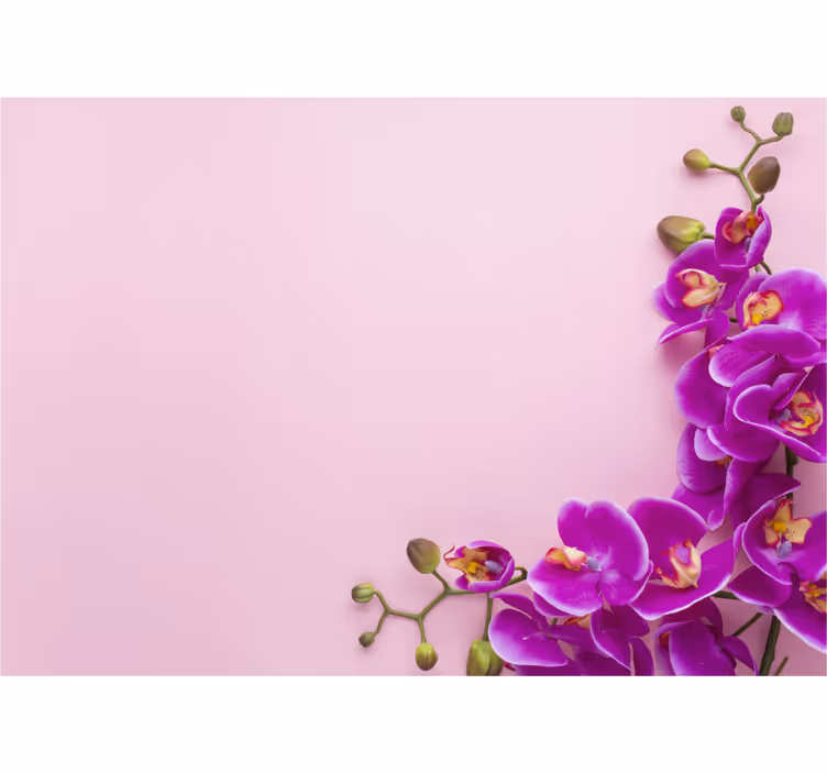 Fototapete orchidee blumengesteck orchidee - TenStickers