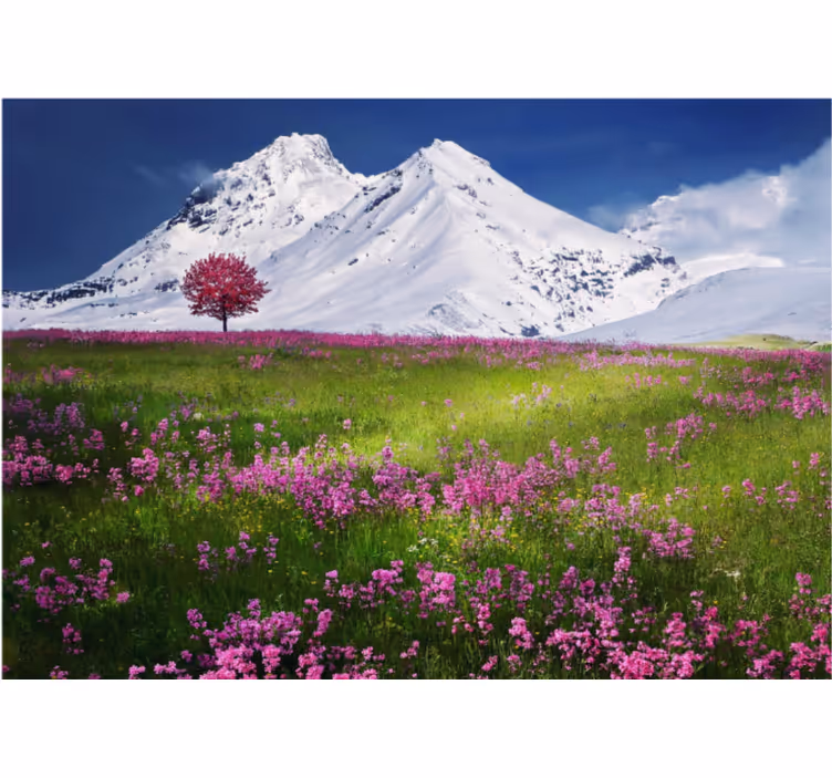 Fototapete landschaft blick auf bergwiese - TenStickers
