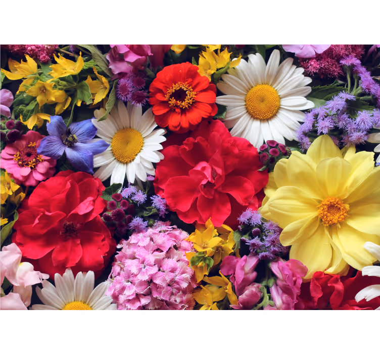 Fototapete blumen lebendige blumenanordnung - TenStickers