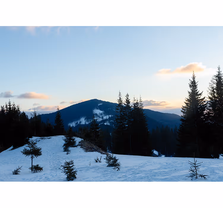Fototapete berge frostige gipfellandschaft - TenStickers