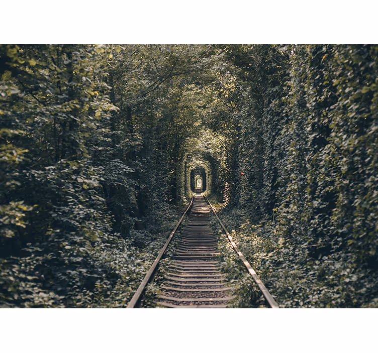 Fototapete landschaft eisenbahntunnel natur - TenStickers