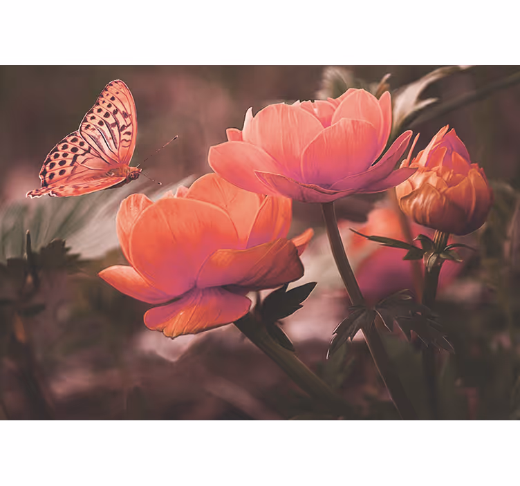 Fototapete blumen schmetterling über blüten - TenStickers