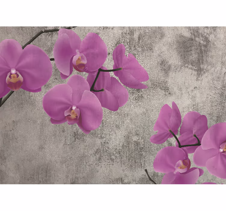 Fototapete blumen rose orchideenblüten - TenStickers
