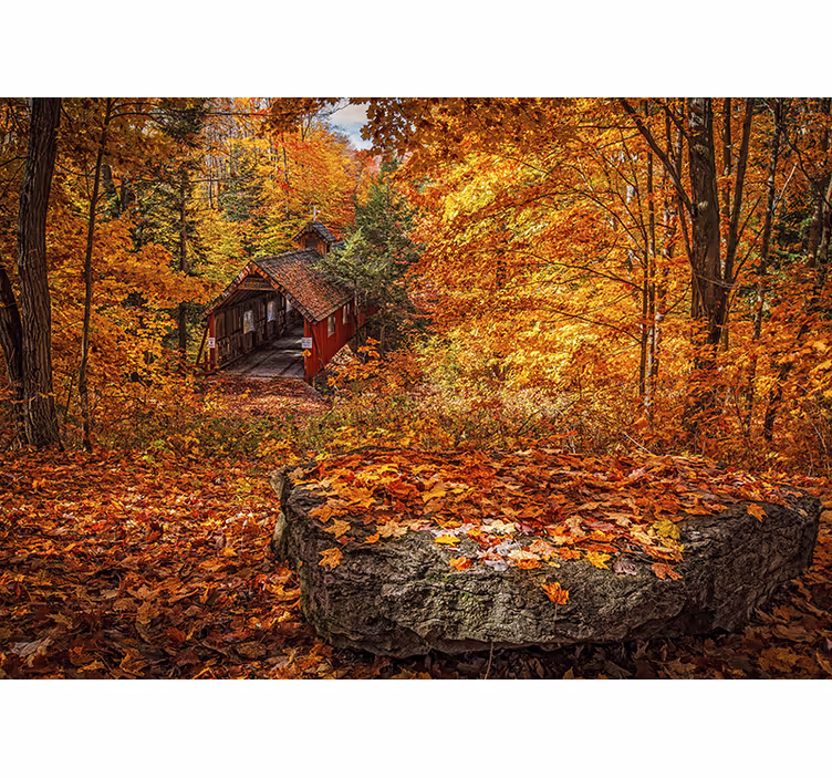 Fototapete landschaft herbstliche Überdachte brücke - TenStickers