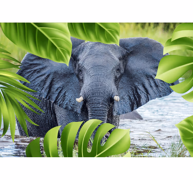 Fototapete tiere majestätischer elefant erlebnis - TenStickers