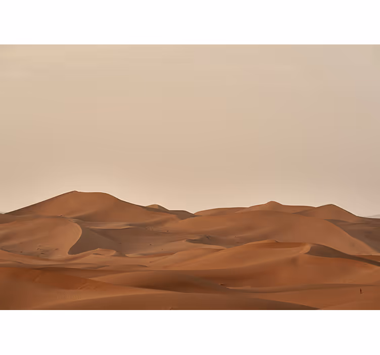 Fototapete wüste sandige wüstenlandschaft - TenStickers