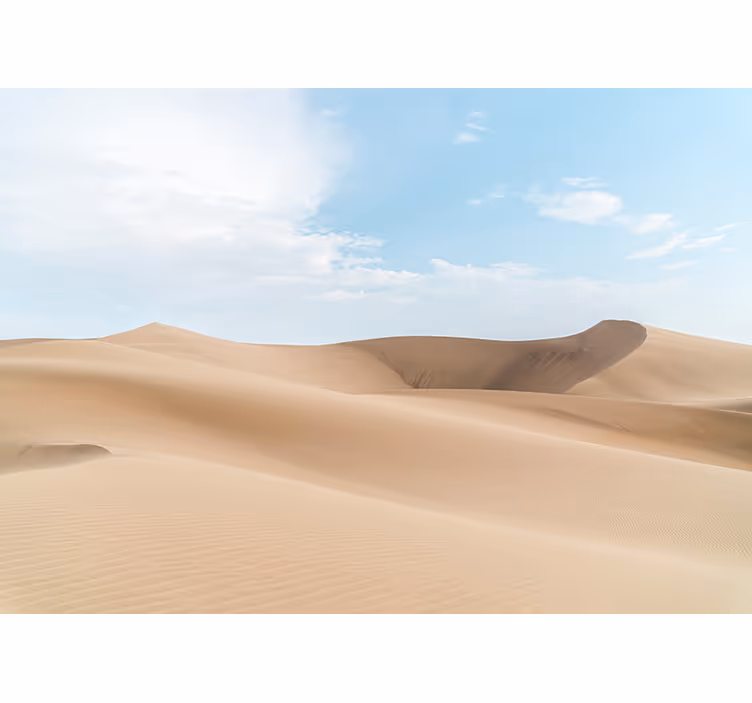 Fototapete wüste sanfte sanddünen - TenStickers