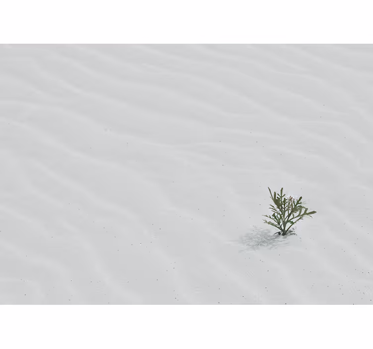 Fototapete natur sand und grünflächen - TenStickers