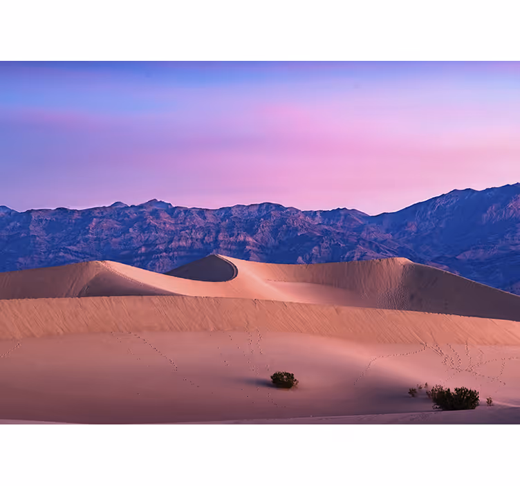 Fototapete wüste goldene dünenlandschaft - TenStickers