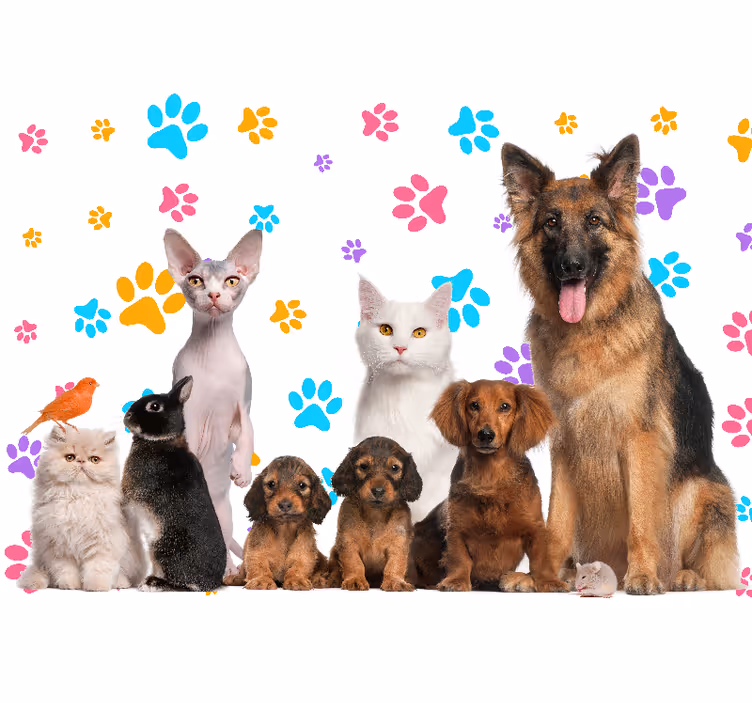 Fototapete tiere glückliche haustierbegleiter - TenStickers