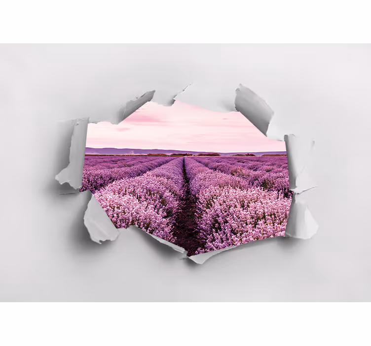 Fototapete blumen blick auf lavendelfeld - TenStickers