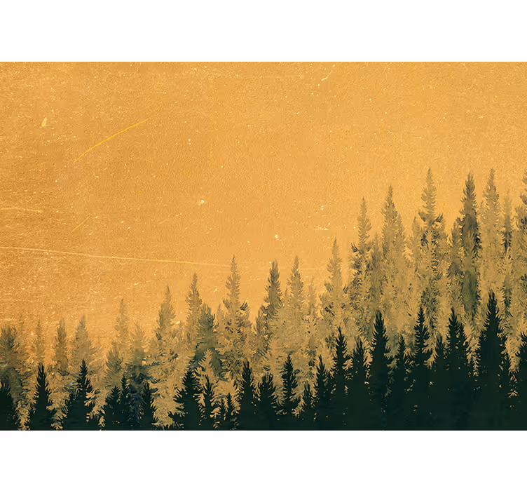 Fototapete natur kiefernsilhouette - TenStickers